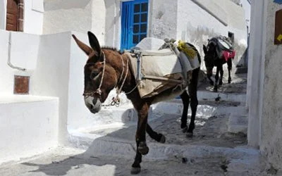 Come muoversi a Santorini